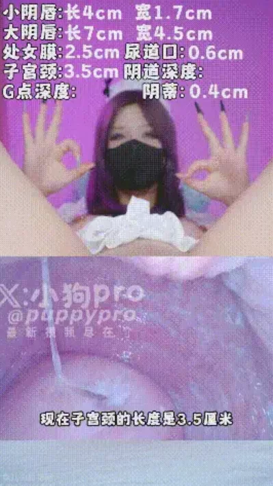 [转载搬运] 小狗pro – 各种花式玩法作品合集 [22.9G] [1+22.9G][百度盘]-福利岛