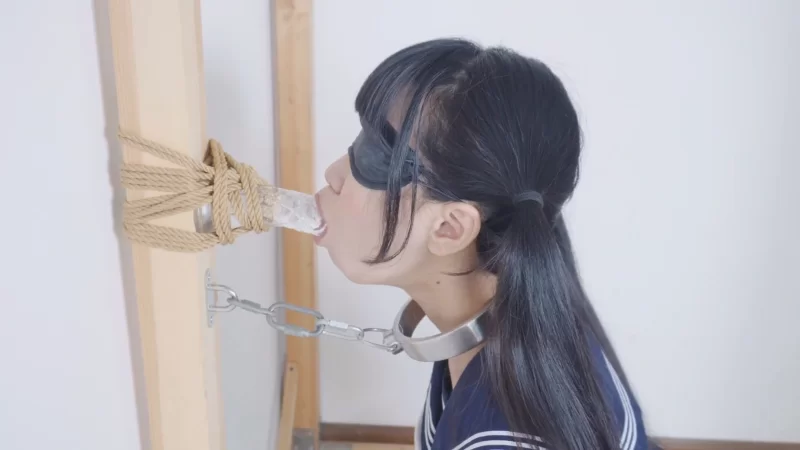 [自行打包] 【冷与贝】大合集 双马尾可爱冷酱调教（六） [50V+21G][百度盘]-福利岛