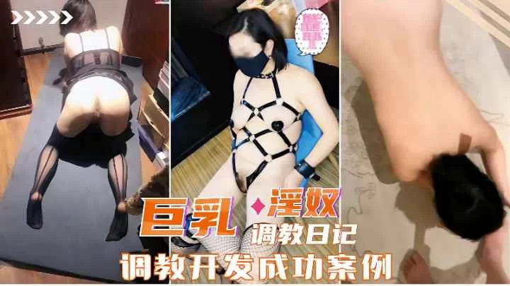 [转载搬运] 巨乳淫奴调教日记_调教开发成功案例 [2+563 MB][磁力链接]-福利岛