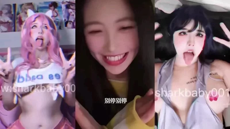 [自行打包] 抖音风混剪大合集 荤的 素的 半荤半素的应有尽有 [1v+1g][百度盘]-福利岛