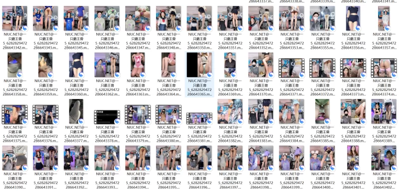 [自行打包] 主播一只霸王兽合集 [87v+27.5g][百度盘]-福利岛