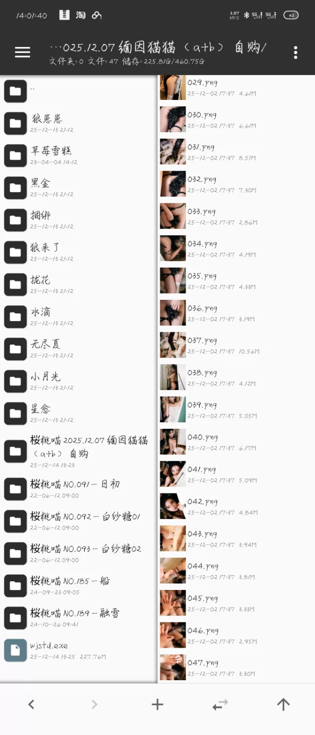 [转载搬运] 桜桃喵 缅因猫猫 [47p+227m][百度盘]-福利岛