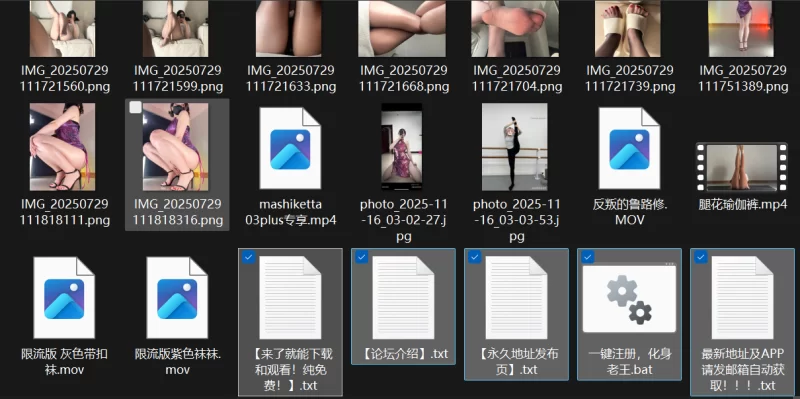[自行打包] B站 擦边UP爱跳舞的周清欢 充电专属视频 [102V+10.3G][百度盘]-福利岛