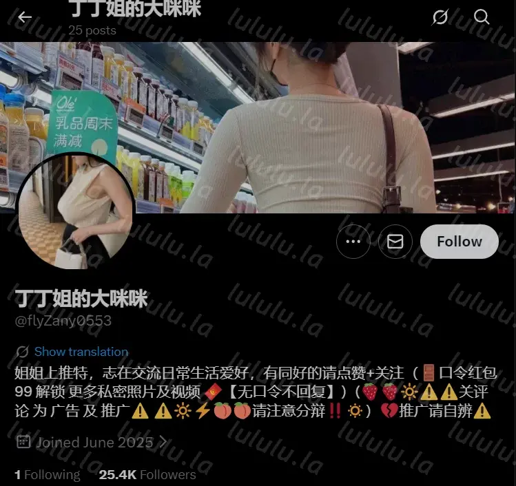 [转载搬运] 推特西瓜肚福利姬：丁丁姐的大咪咪 32岁孕期人妻 主打母乳 [188v+700m][百度盘]-福利岛