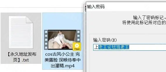 [自行打包] 糖果屋沐沐 cos古风小公主 完美露脸 深喉侍奉中出灌精 [1+2200mb][百度盘]-福利岛