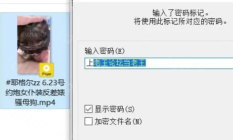 [自行打包] 耶格尔zz 约炮女仆装反差婊骚母狗 [1+240mb][百度盘]-福利岛