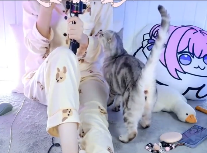 梵拉_睡衣回❤充电专属直播回放_10_17场 1V452M百度盘-福利岛