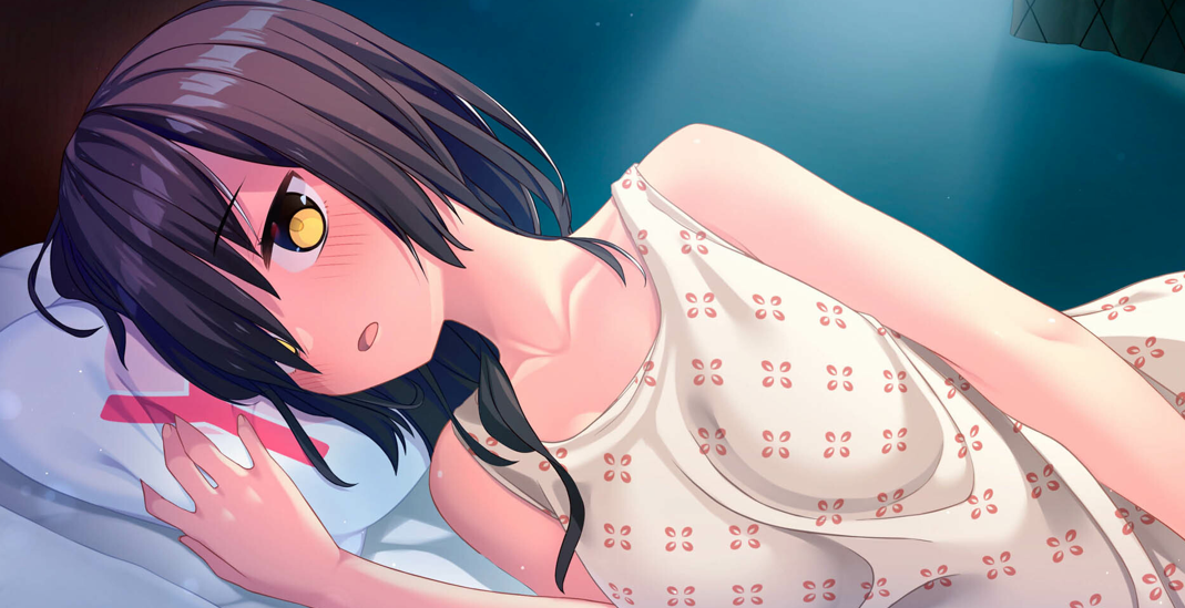 [PC][拔作ADV/官中/动态] 拔作岛 2 NUKITASHI 2 Ver2.02 官方中文版+DLC[7.18G/CV]