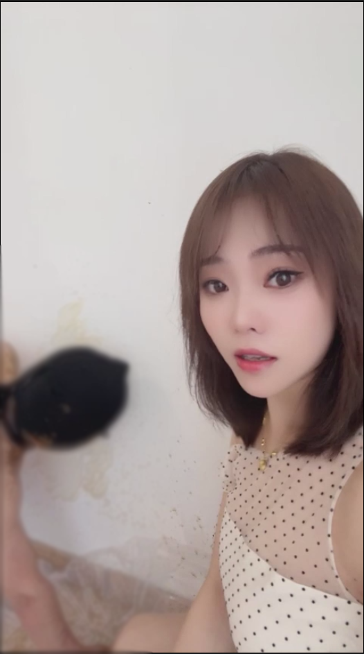 玩物直播mico兔-20250316 喷射5斤大量黄金【1V】【929MB百度云】