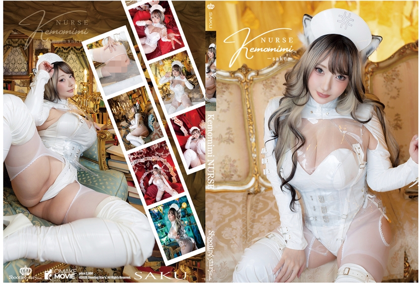 no.1733 [Shooting Stars (Saku)] – Kemomimi Nurse【373P 324MB】-福利岛
