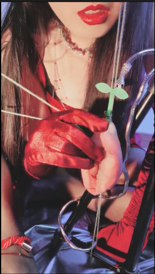 套路直播失心 - 规则怪谈，绿夺杏妻【1V】【417MB百度云】