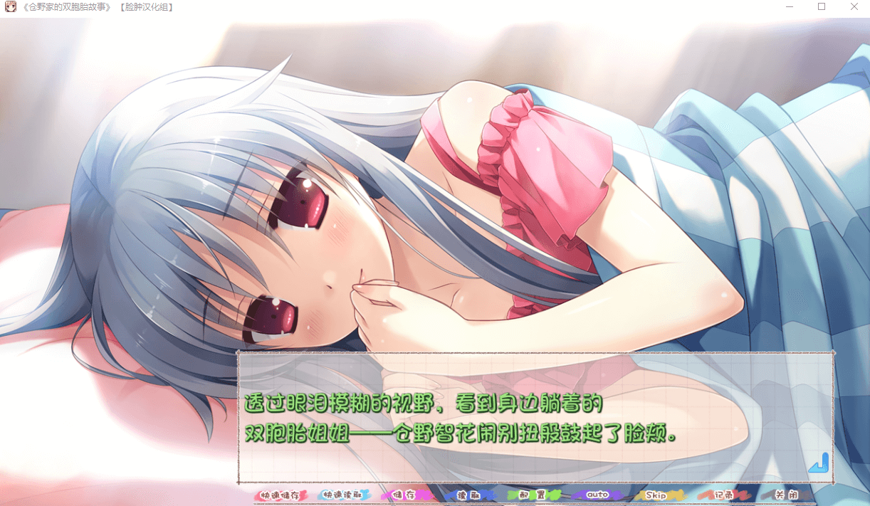 仓野家的双胞胎故事