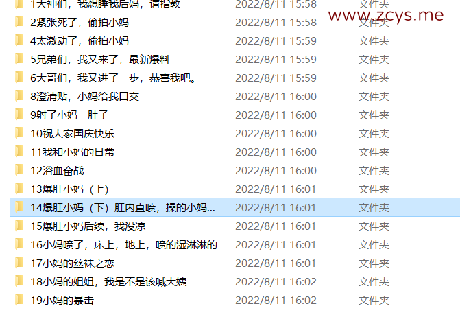乱伦史上封神力作 -我与后妈的乱伦史  【99P 8V 2.45G】