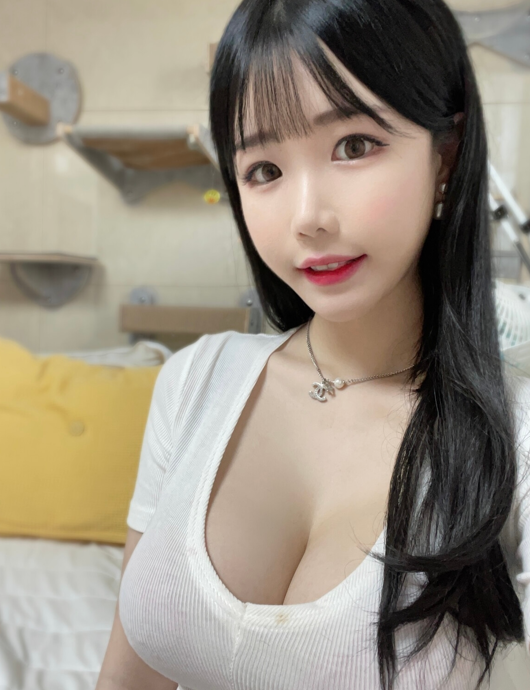 （补档）韩网极品网红巨乳女神写真整理393p+15v 6.91GB