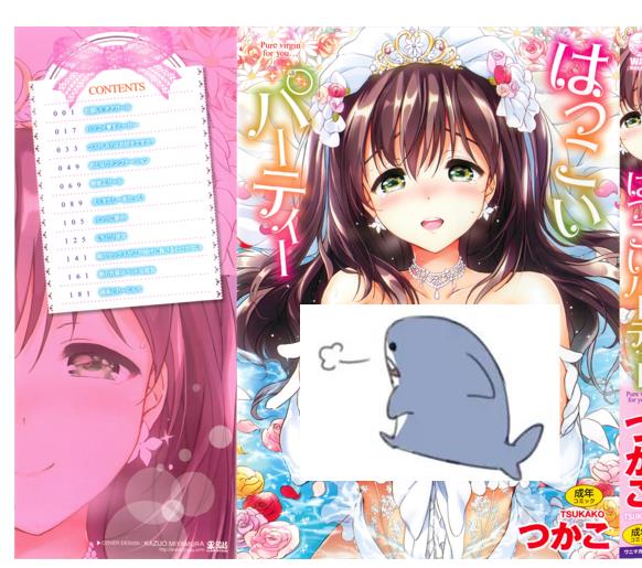 [单行本] はつこいパーティー [中国翻訳]