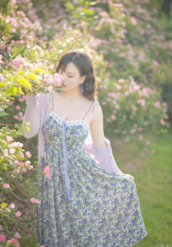 皮皮奶可可爱了啦 NO.065 蔷薇花 【37P788M】