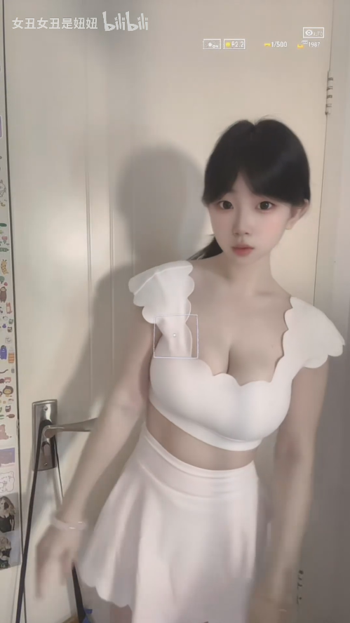 【新】b站抖胸擦边up主女丑女丑-充电视频合集【121V】【2.45G百度云】-福利岛