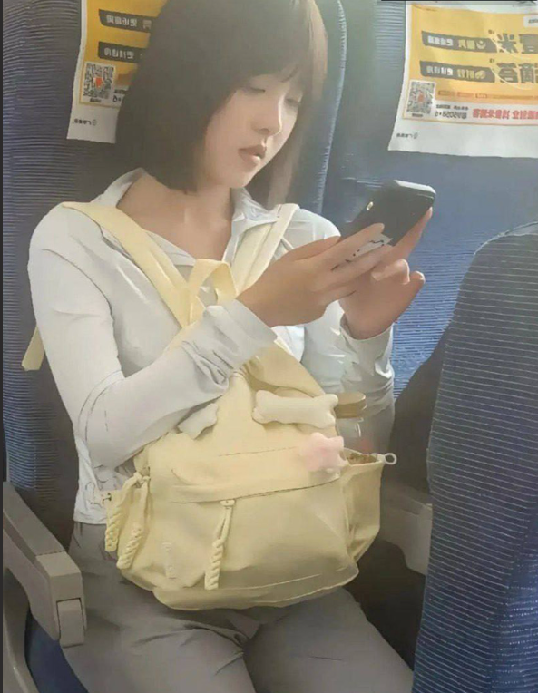 吃瓜高铁女孩自拍福利视频完整版1v370mb