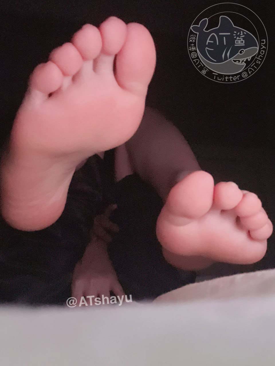 【新】AT鲨-新流出六套【186P+29V】【47.1MB百度云】