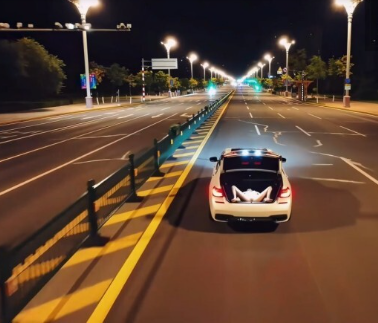 户外东北匹夫户外调教母狗合集1v150mb