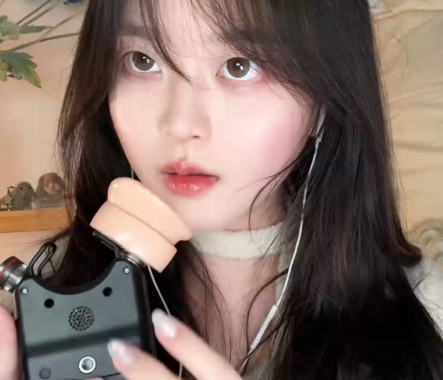 椰椰拿铁 2511录音笔 硅胶耳天鹅13min -1V267M百度盘-福利岛