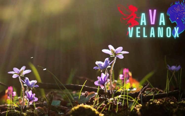 [亚洲风SLG/汉化] 阿瓦维拉诺克斯 AVA Velanox v1.2 [PC+安卓/1.5G]-福利岛