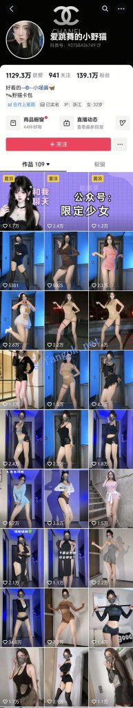 抖音 爱跳舞的小野猫-2 140万粉 大尺度节奏骚舞 最全【55V】【864M】 预览图 1