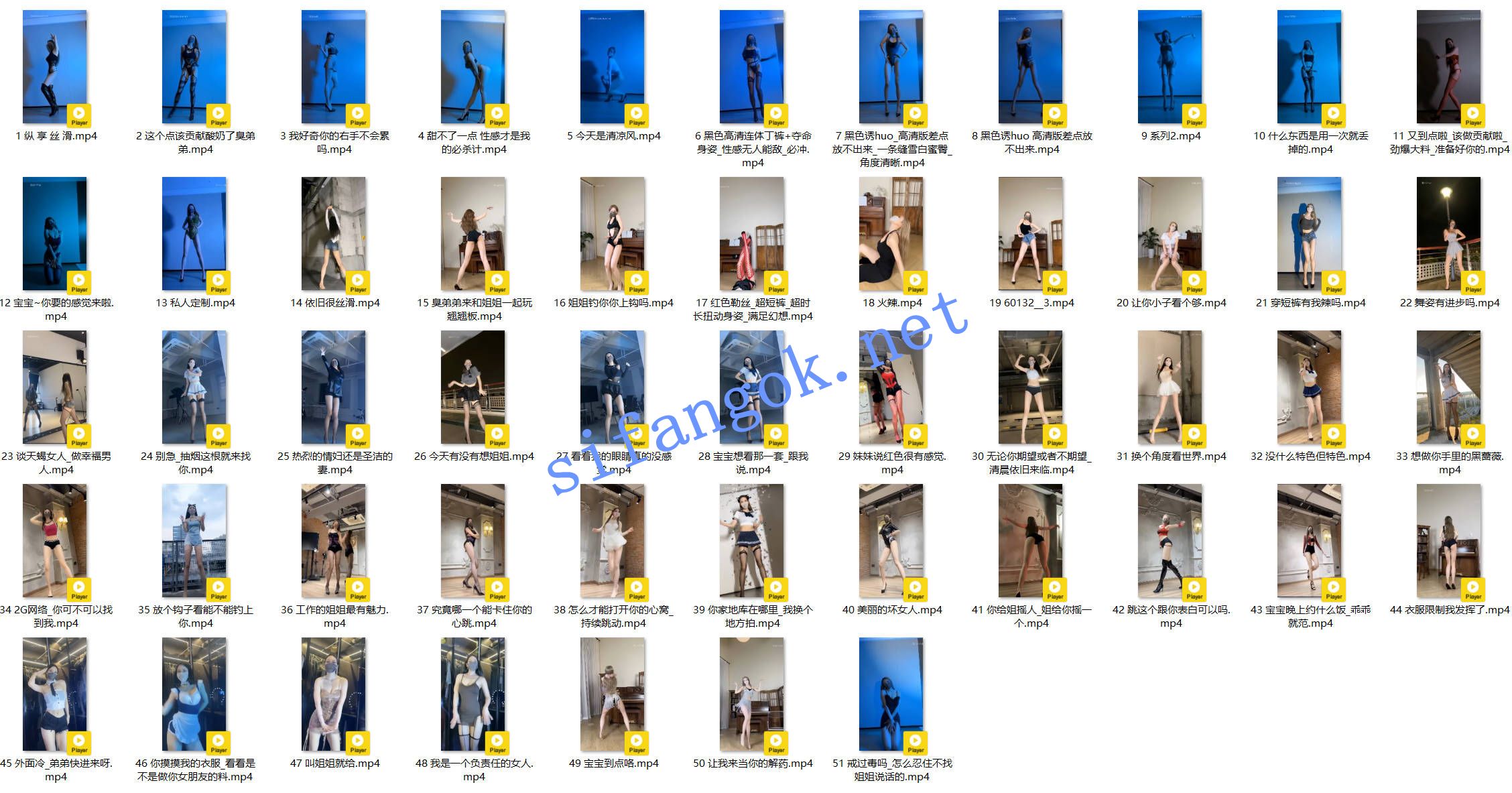 抖音 爱跳舞的小野猫 140万粉 大尺度节奏骚舞 最全【51V】【830M】 预览图 9