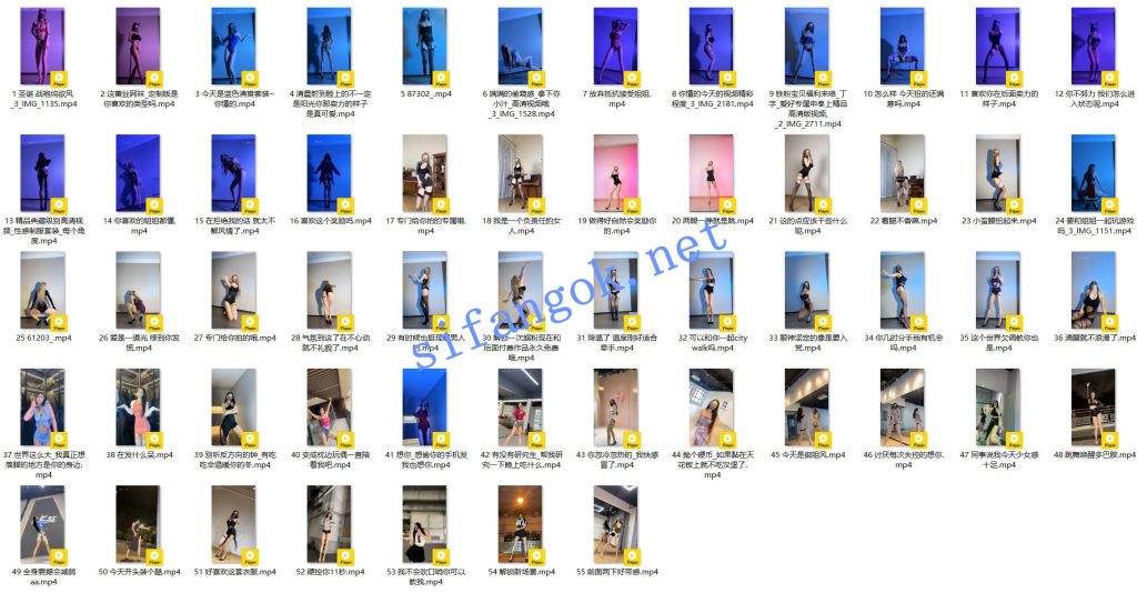 抖音 爱跳舞的小野猫-2 140万粉 大尺度节奏骚舞 最全【55V】【864M】 预览图 13