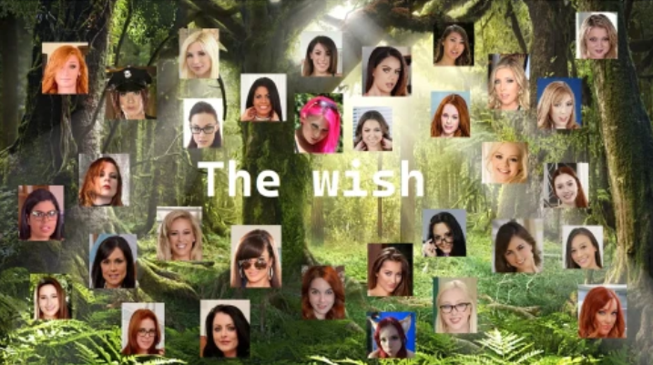 [欧美RPG/汉化] 愿望 The Wish v0.41 [PC+安卓/1.8G] 预览图 3