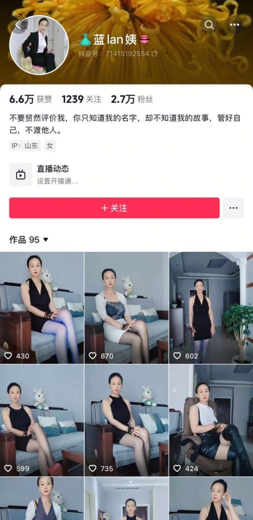 抖音 蓝lan姨 高贵气质阿姨 露点 大尺度勾引【10V】【43.8M】 预览图 2