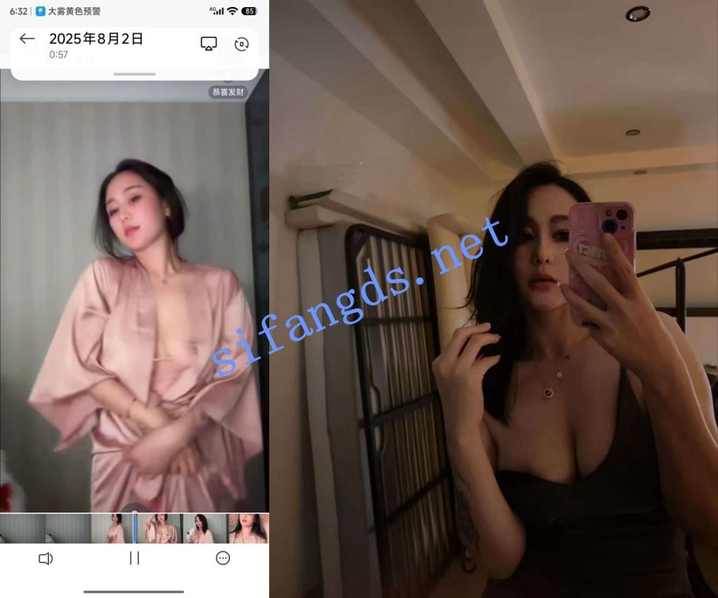 【抖音】L.露 1000场会议合集 加高价定制【36V】【4.17G】 预览图 2