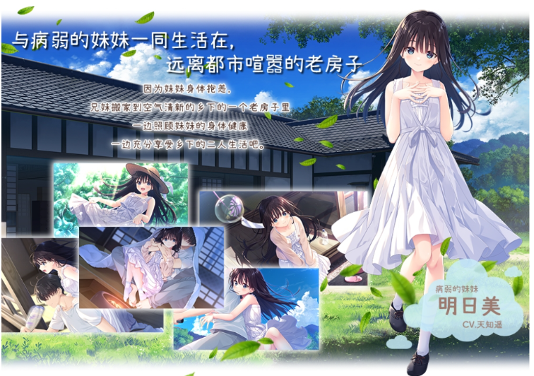 【爆款RPG】[妹系]痴情哥哥与病弱妹妹的乡间生活 Ver1.02 DL官方中文版 DLC1-4 预览图 6