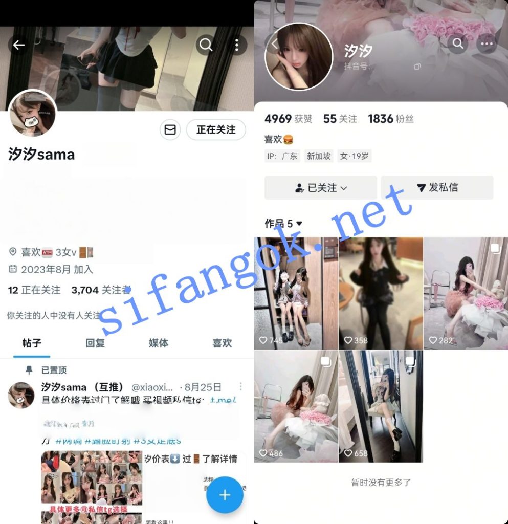 抖音推特超可爱女S-汐汐 高价定制福利及1V1变小母狗自慰【4V】【488M】 预览图 1