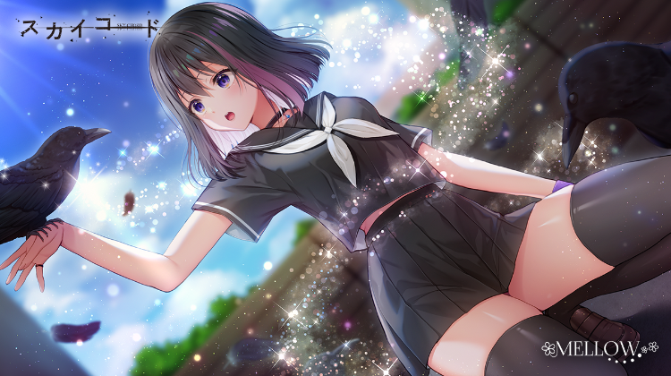 【日式ADV】[波子汽水汉化组]スカイコード 天之和弦 Ver1.01 汉化硬盘版 预览图 5