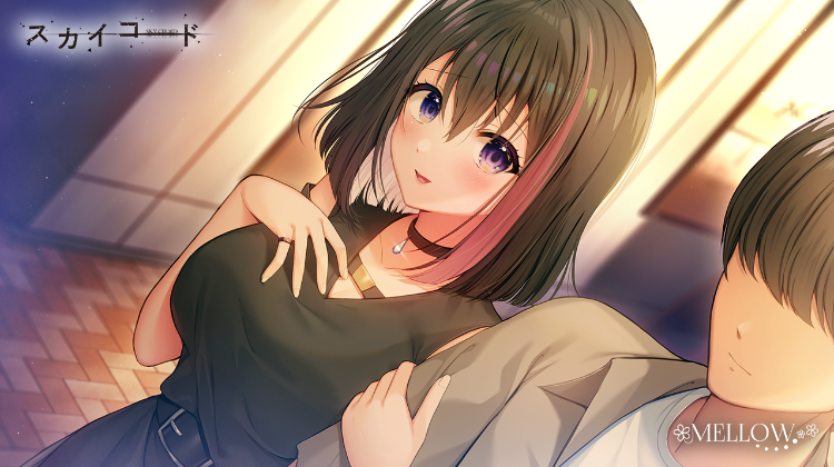 【日式ADV】[波子汽水汉化组]スカイコード 天之和弦 Ver1.01 汉化硬盘版 预览图 6