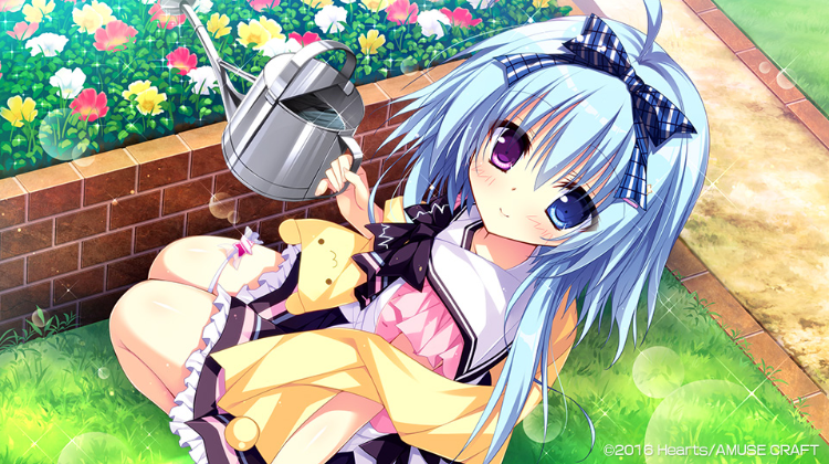 【日式ADV】[破琵琶生产公社]夏色心跳日志 汉化硬盘版 预览图 4