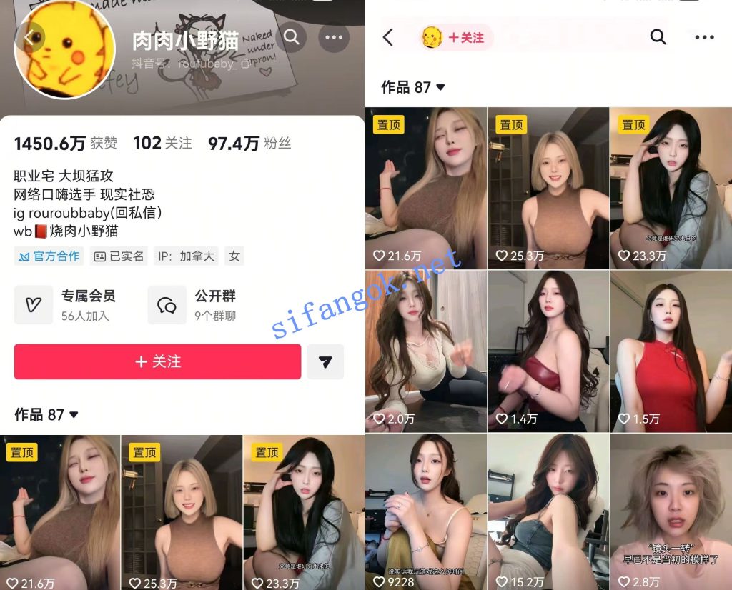 【抖音】肉肉小野猫 百万粉丝大主 大尺度情趣内衣定制18V【18V】【1.27G】 预览图 1