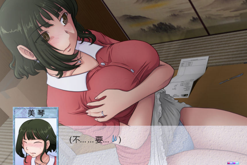 [日式ADV/汉化] 某对夫妇的还款计划 とある夫婦の返済計画 v2.08[PC/820M] 预览图 2