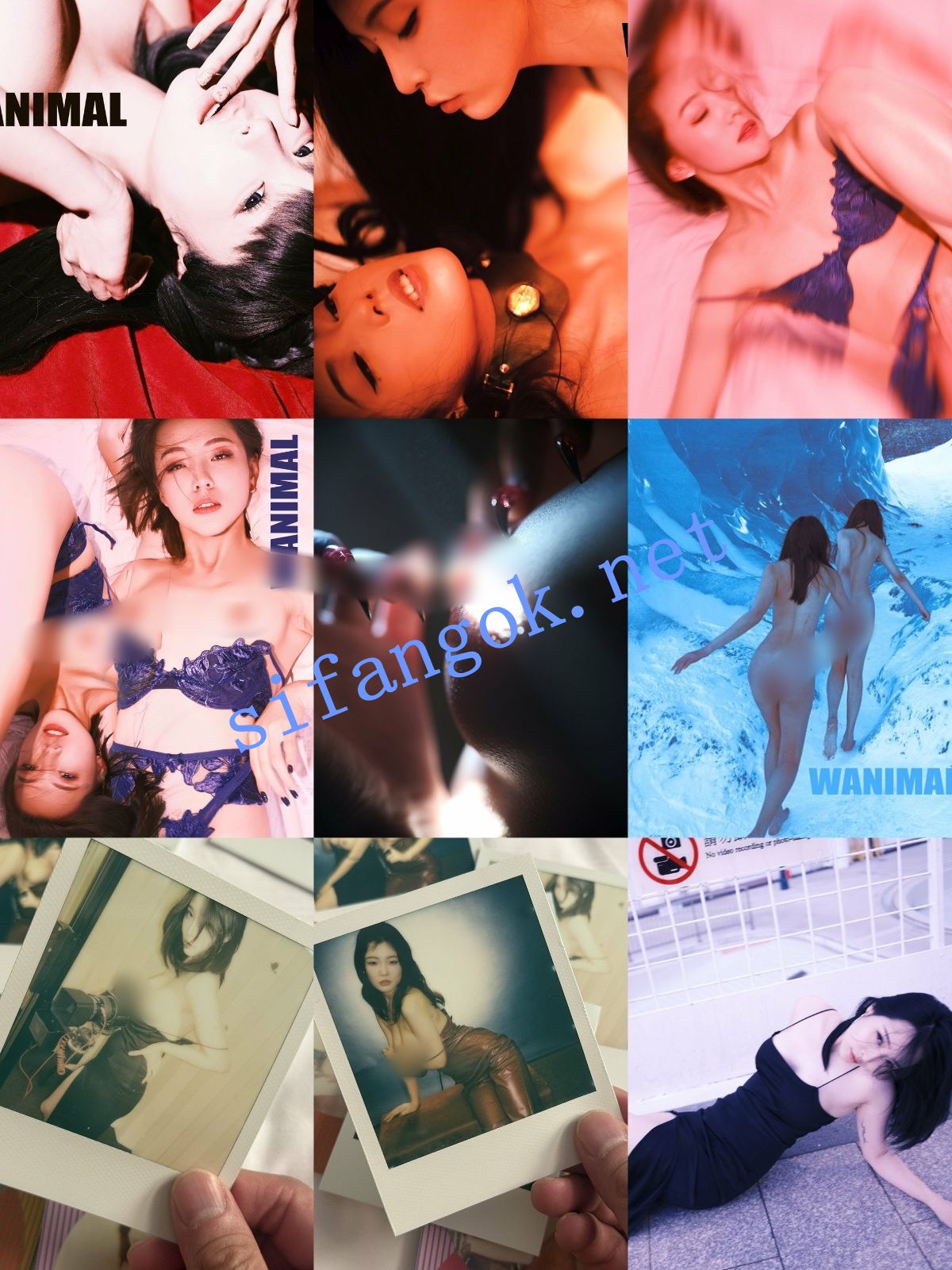 【重磅】顶级摄影网红【王动】2025最新作品整理 太顶了【1014P85V】【3.29G】 预览图 11