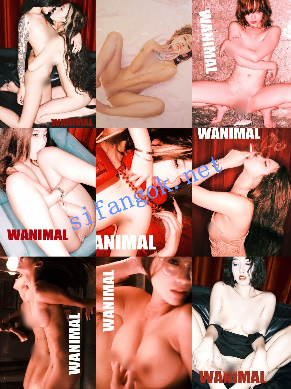 【重磅】顶级摄影网红【王动】2025最新作品整理 太顶了【1014P85V】【3.29G】 预览图 10