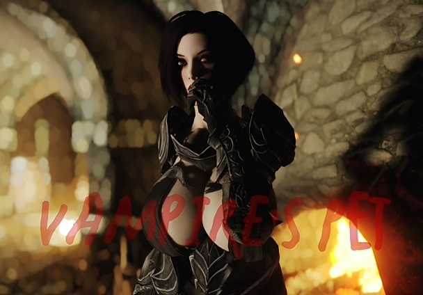 Skyrim4ever：Vampires pet[2G]-福利岛