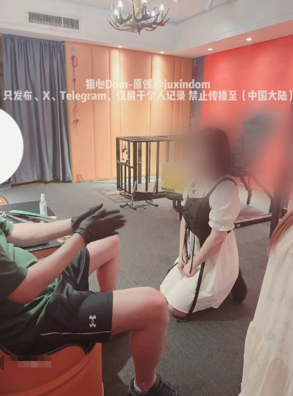 真实BDSM调教大师【狙心DOM】付费8部，烟烫乳头火烧乳房喝马桶水男厕双调，各种花样【8v】-福利岛