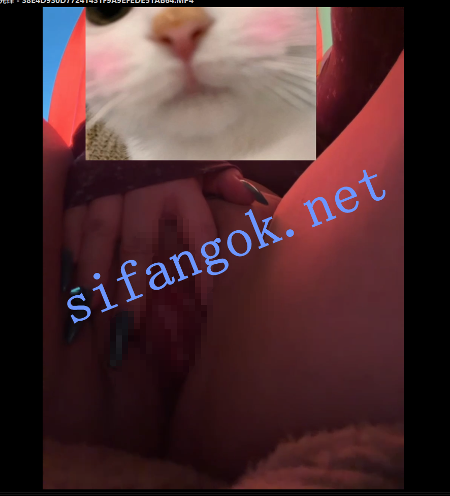 【抖音推特巨乳】芷仪g宝 大诗瑶最新喷水露点黑丝巨臀福利【10V】【242M】 预览图 13