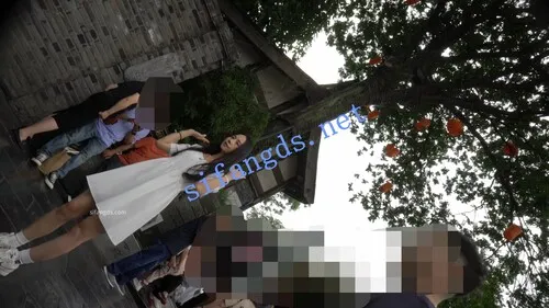 【永久专享】（空城原创）白裙美女逛街，条纹小N前面透明漏黑森林【1V】【315M】 预览图 3