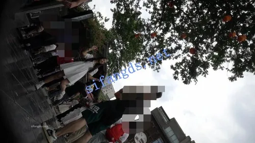 【永久专享】（空城原创）白裙美女逛街，条纹小N前面透明漏黑森林【1V】【315M】 预览图 5