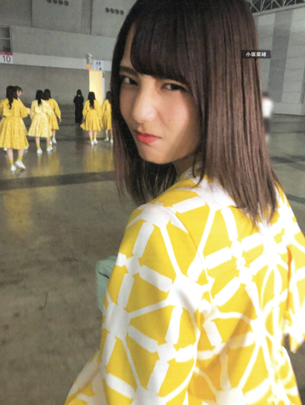 日向坂46 HINA_SATSU 日向撮 VOL.01 High Qulity 【256P1.53G】