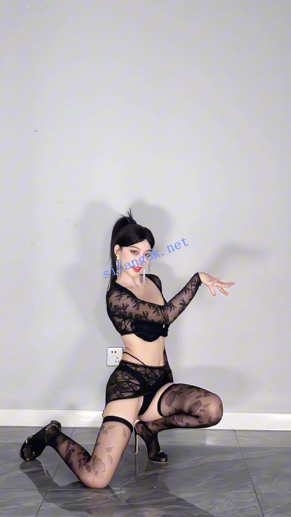 B站专业舞UP 小艾x艾 2026情趣高跟丝袜 定制骚舞4K原版【5V】【1.55G】 预览图 8