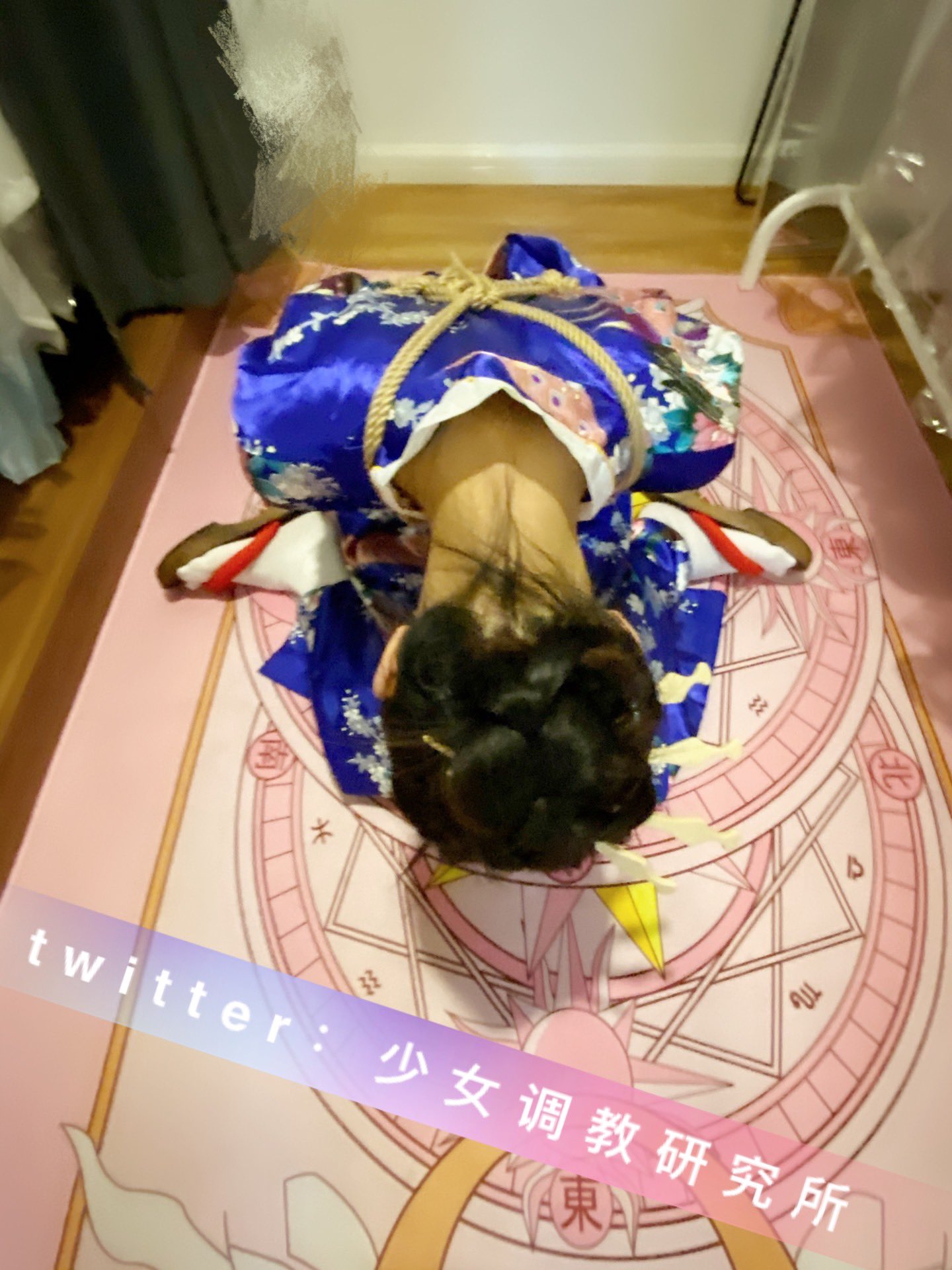 【补】少女调教研究所36P 13V