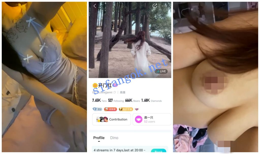 【BIGO福利】【Honey小喵 KT猫 菲菲 酱酱开门红】【24V】【463M】 预览图 6